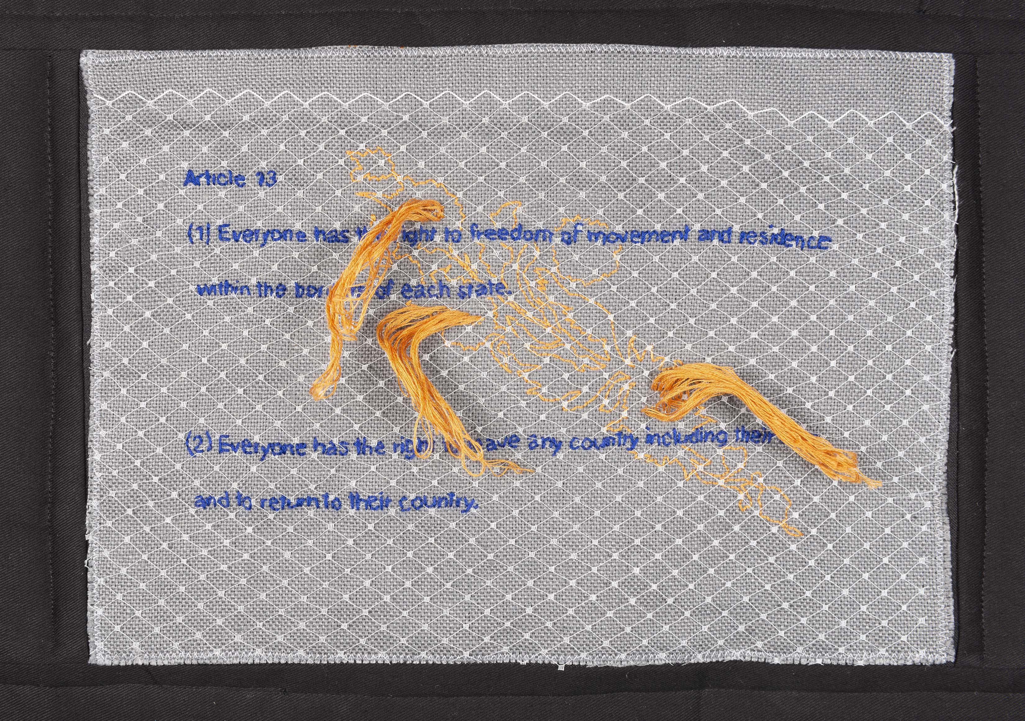 Article 13 by Sarah Pedlow