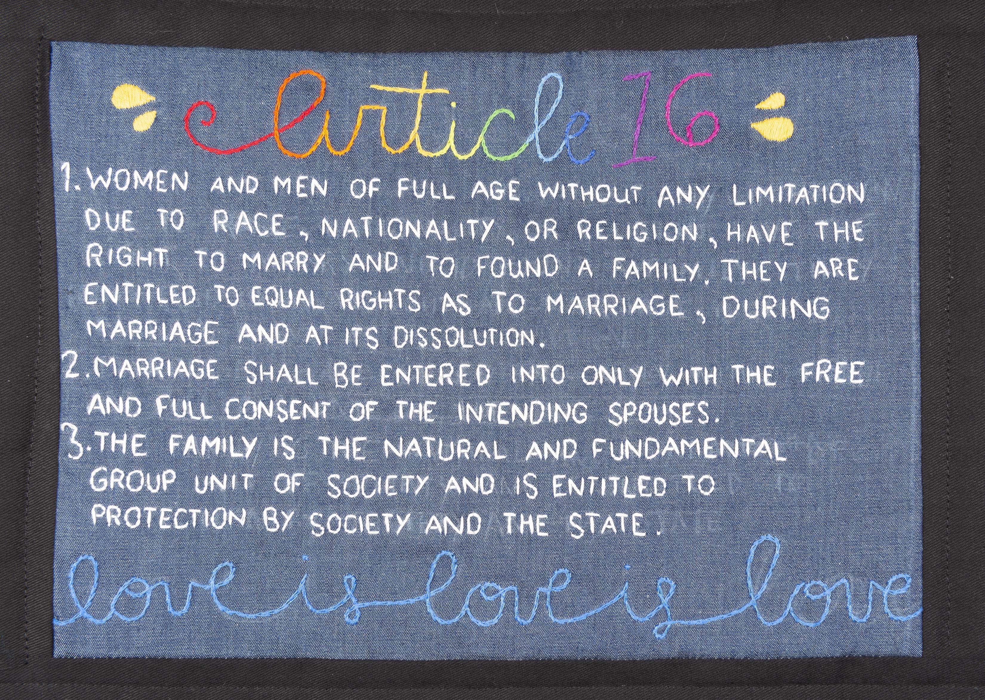 Article 16 by Amy Lanza