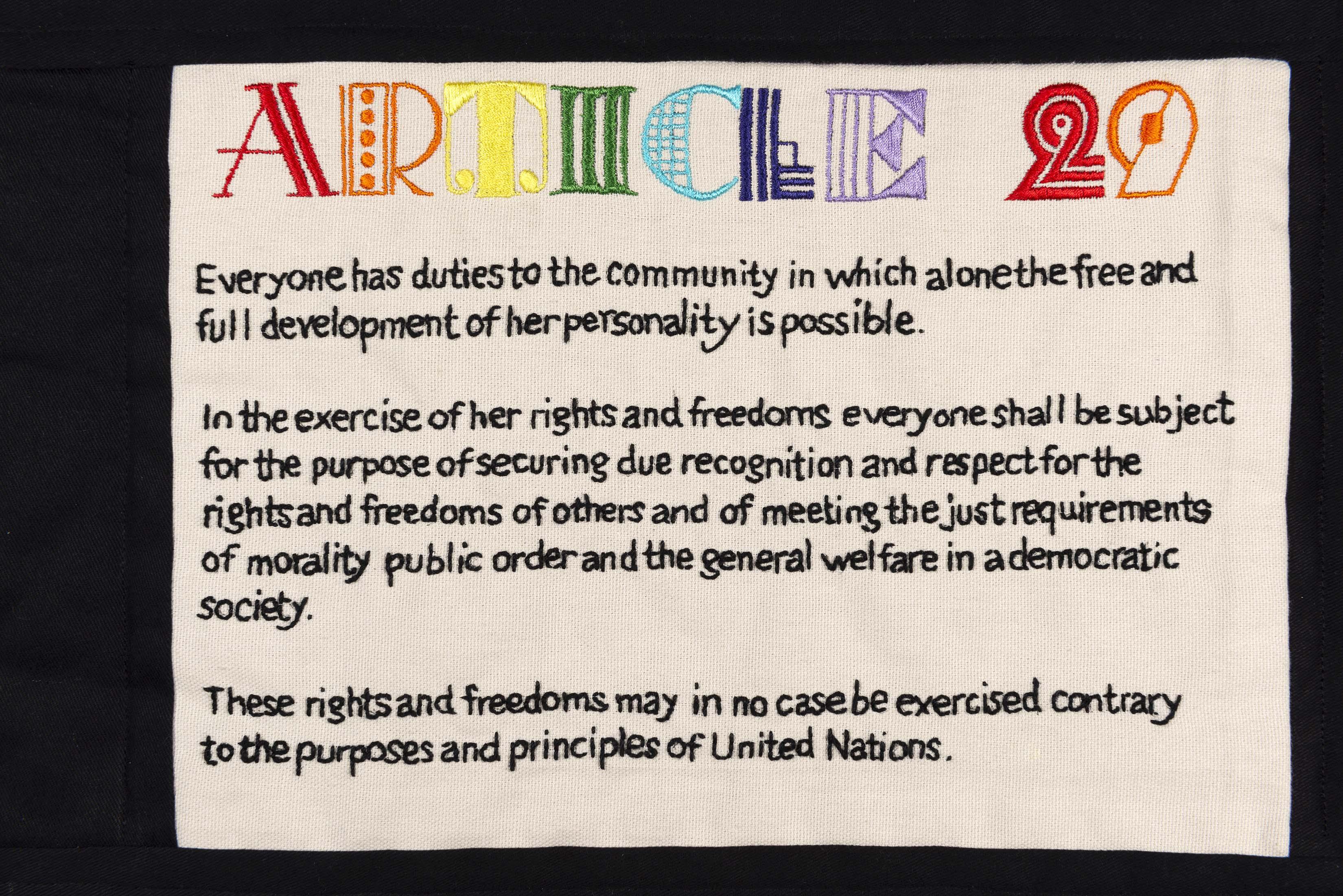 Article 29 by Sam P. Gibson