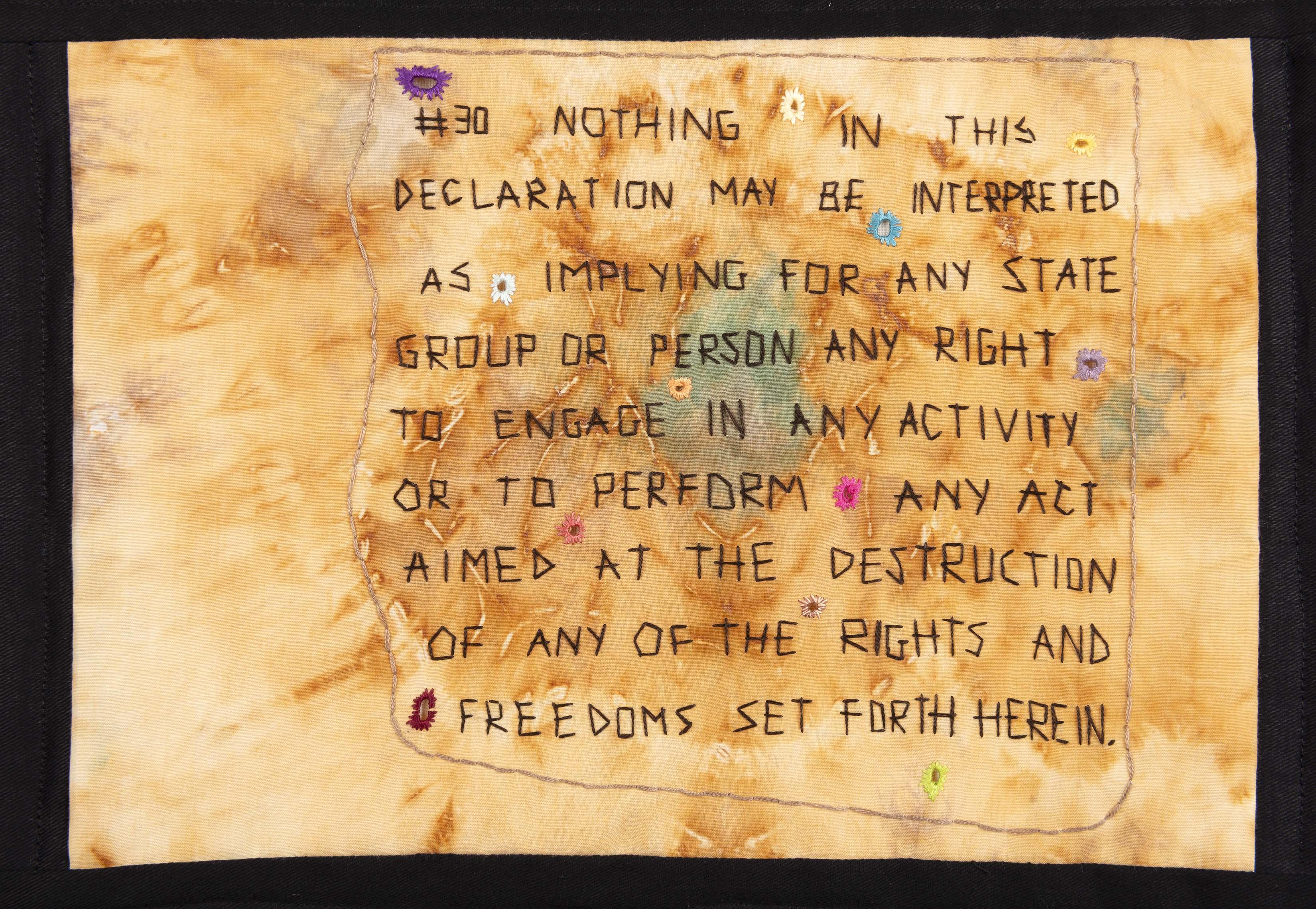 Article 30 by Suzette Taylor